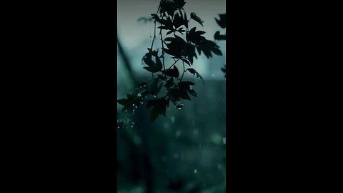 请复习这周经文 和祷告。 感谢主赐我们一切， 并且与我们同在。 阿门