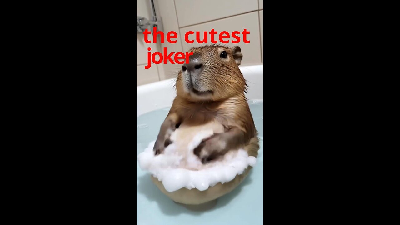 Have you ever seen him taking a bath?
