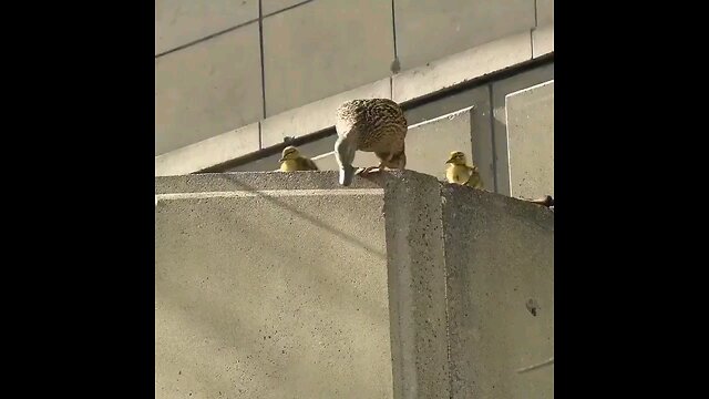 Right man on Right time.