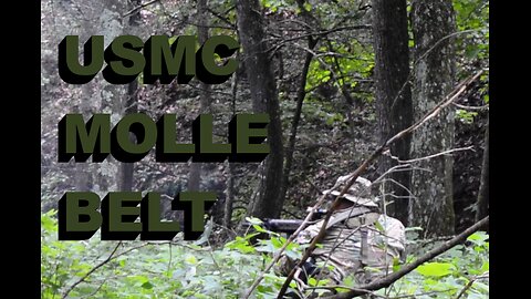 USMC MOLLE BELT