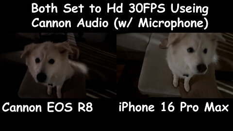 Cannon EOS R8 Content Creator Kit Unboxed: R8 Catastrophic Failure vs. iPhone Cool Performance