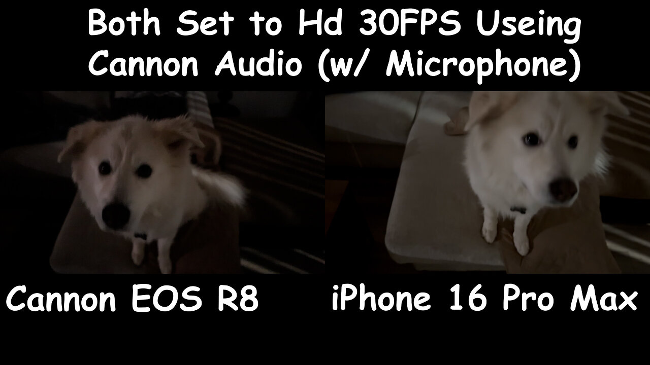 Cannon EOS R8 Content Creator Kit Unboxed: R8 Catastrophic Failure vs. iPhone Cool Performance