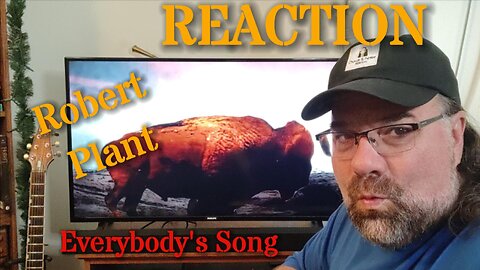 Everybody's Song | Robert Plant (reaction)