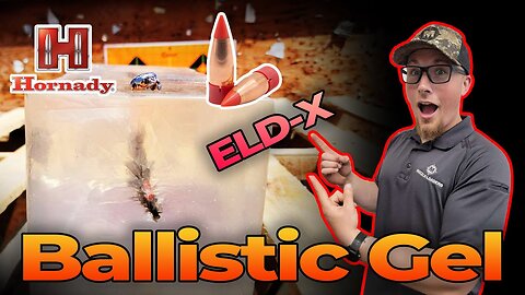 ELD-X Muzzleloader Bullet Ballistic Gel Test - Muzzle-Loaders.com