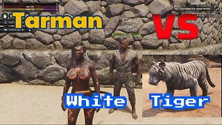 Conan Exiles beginners guide Tarman is he worth it Tarman vs White Tiger Busty boobs