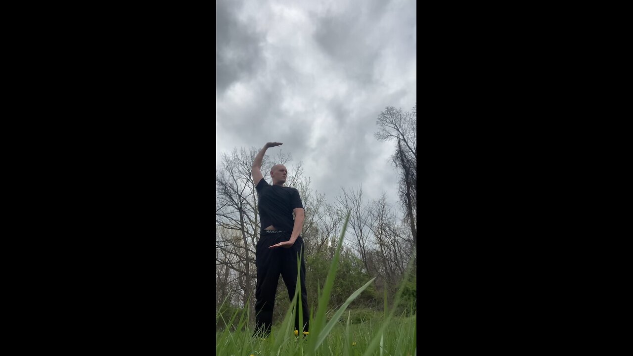 Day 95/100 qi gong #FIREBLOOD
