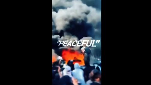 Third-World Insurrection Riots on American Soil ~ by The White House 6.11.25
