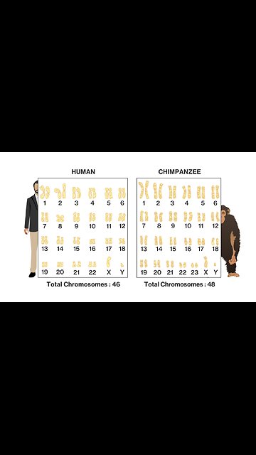 Ancient Texts Was Right About Our Lifespan Being Limited To 120 Years