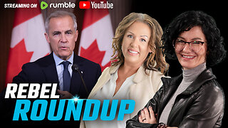 Libs blame Poilievre, Cons call to scrap TFW program, Carney on Canada-US relations | Rebel Roundup