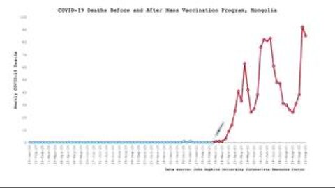 Country by Country Death Toll - Before and After the "Vaccine"