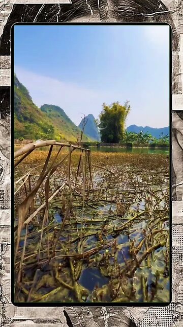 Nature’s Illusion: How a Phone Camera Exposed the Truth About This ‘Dirty’ River