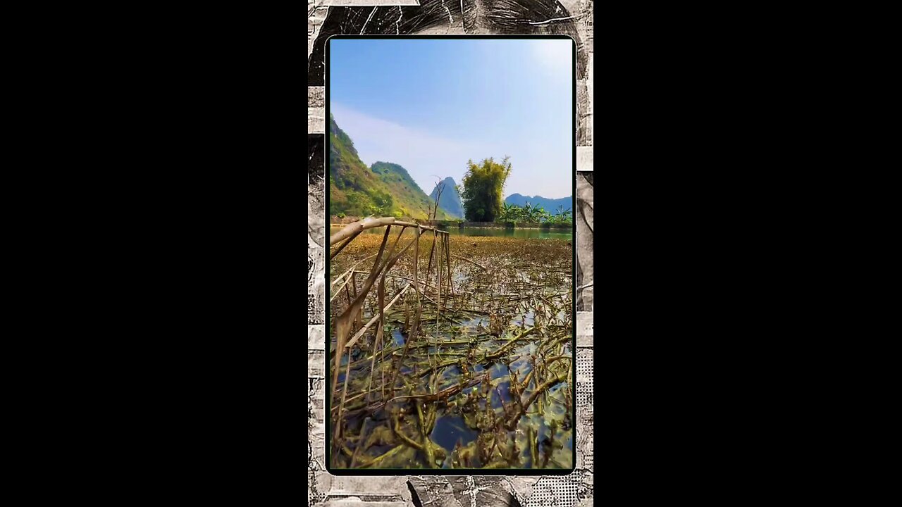 Nature’s Illusion: How a Phone Camera Exposed the Truth About This ‘Dirty’ River