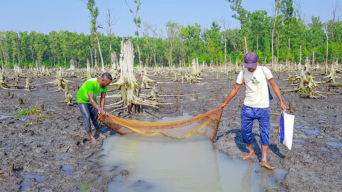 Fishing in Underwater Hole From Riverside with Beautiful Natural