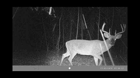 Trail Cam Tuesday, December 9th, 2025.