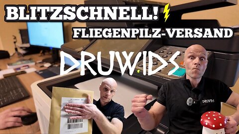 So arbeiten wir: DRUWIDS Versandprozess transparent erklärt! 📦🍄