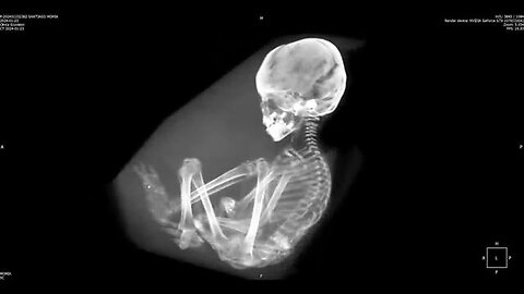 "Confirmed: Non-Human Nazca Tridactyl Mystery Unveiled by Dr. John & Josh McDowell"