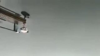 Isn't it Amazing How Our Perception of Things Changes When Things Are Turned Upside Down