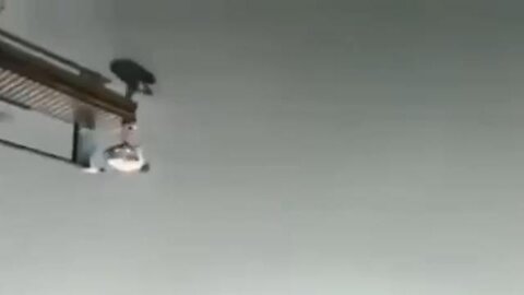 Isn't it Amazing How Our Perception of Things Changes When Things Are Turned Upside Down
