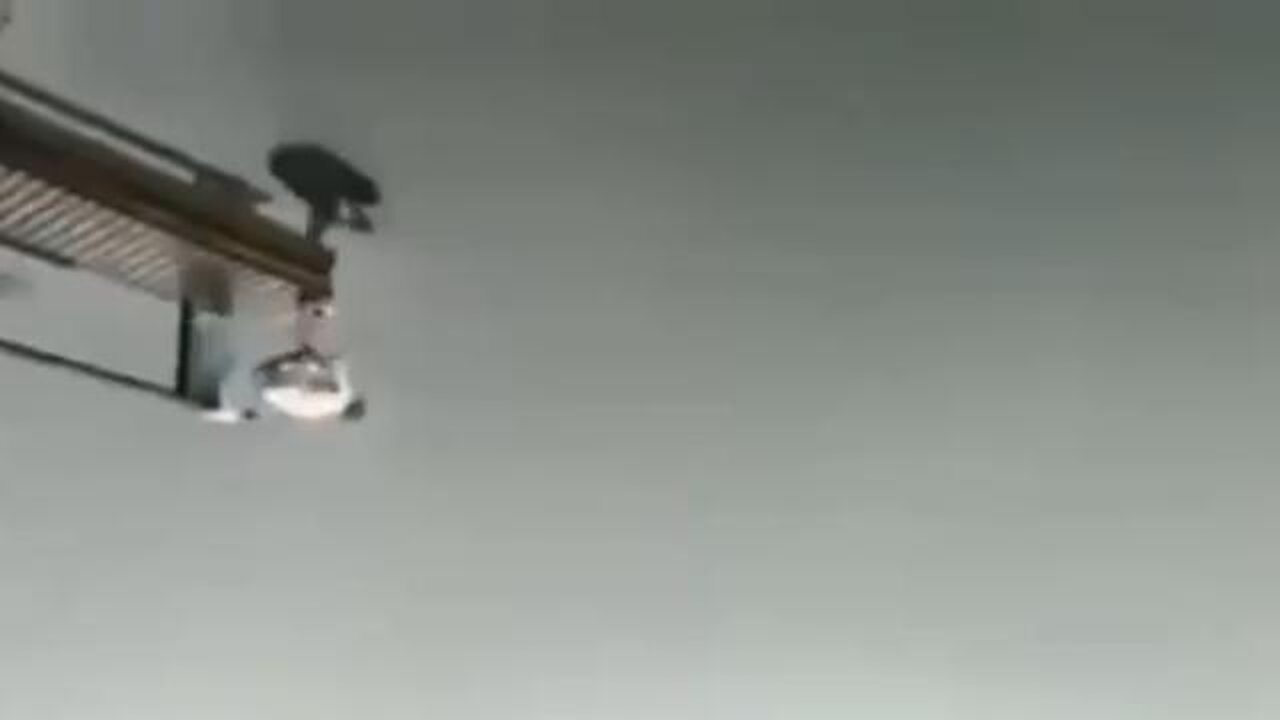 Isn't it Amazing How Our Perception of Things Changes When Things Are Turned Upside Down