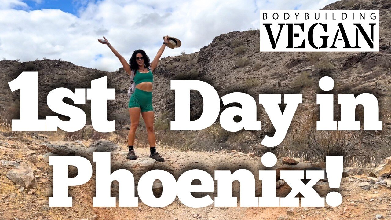 Road Trip Adventure Vlog 4 - Our First Two Days in Phoenix!!