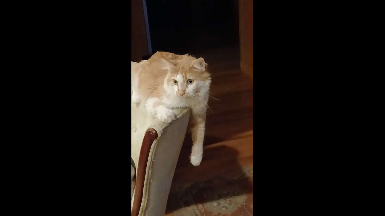 Video 10
