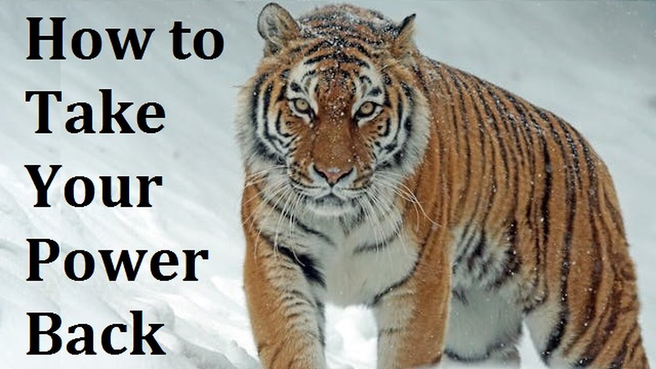 7 Ways to Take Your Power Back Now