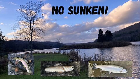 Steelhead, Trout, Sauger (No Sunken!)