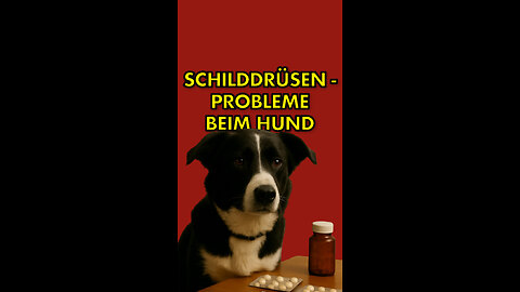 Schilddrüsenprobleme beim Hund.