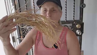 2025 08 31 Off-grid with Marjory Wildcraft