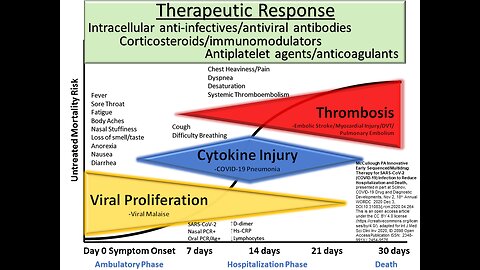 Three Phases of COVID-19 Illness: Dr McCullough™ Answers Pennsylvania Representative Rob Kauffman