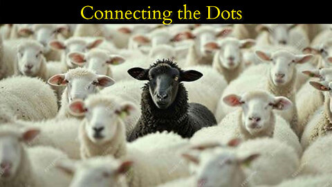 LESSONS FOR THE HERD MENTALITY