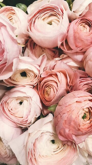 Pray—and Then Move.