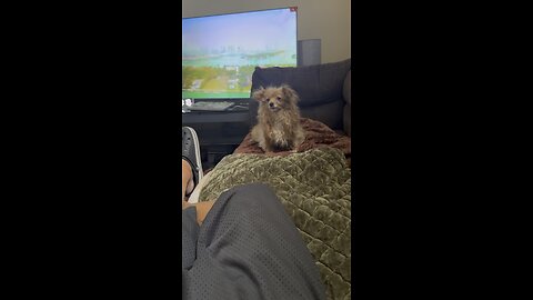 She came back for more