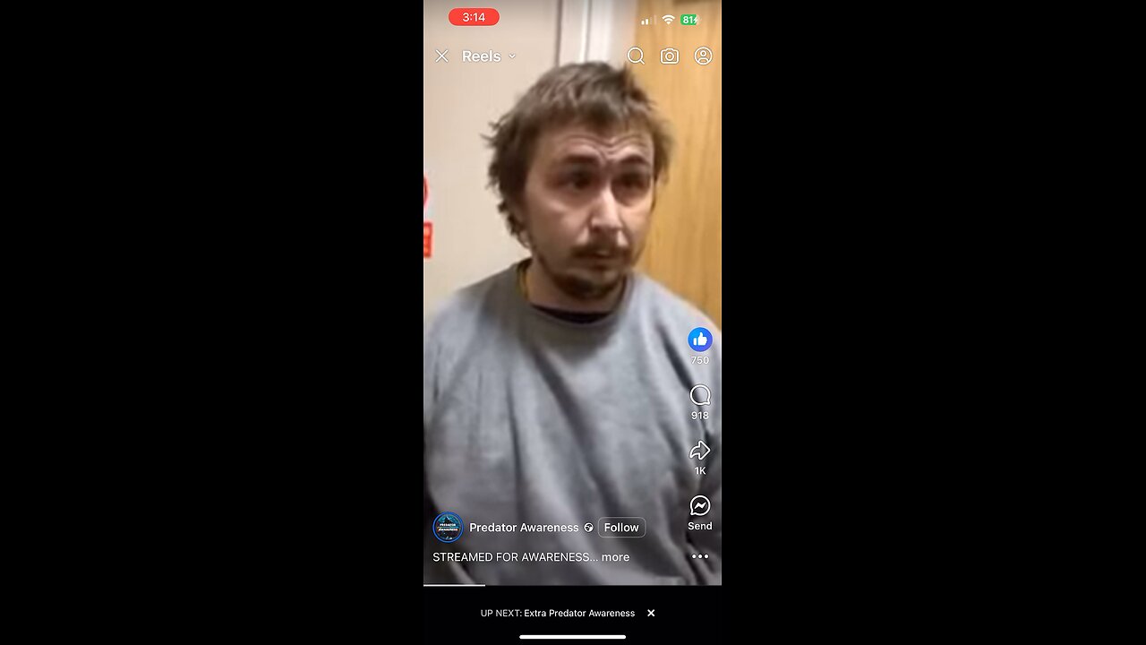 Mark Feely 3rd sting