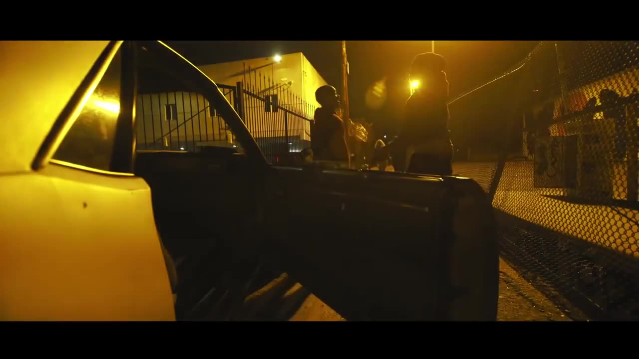 Scriptonite- animals
