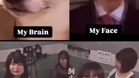 Almost Every Day