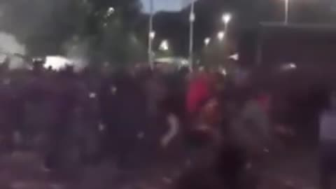 Meanwhile in Osarno Chile