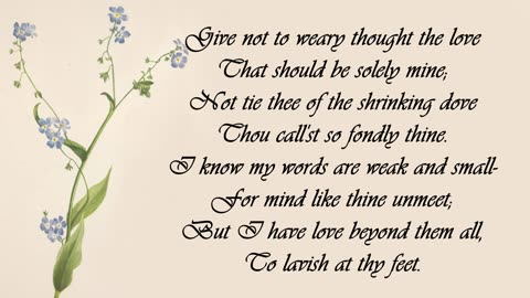 Forget-me-not - The Language of Flowers