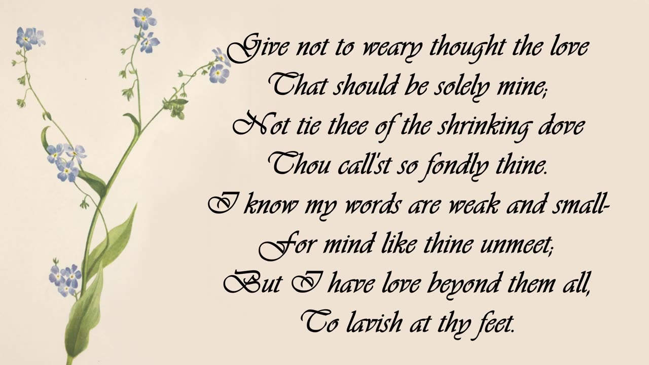 Forget-me-not - The Language of Flowers