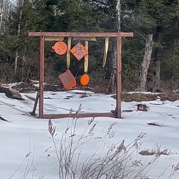 Ruger Mini 30 #国外合法拍摄国内请勿模仿 #武器科普 #实弹射击 #男人减速带 #靶场射击