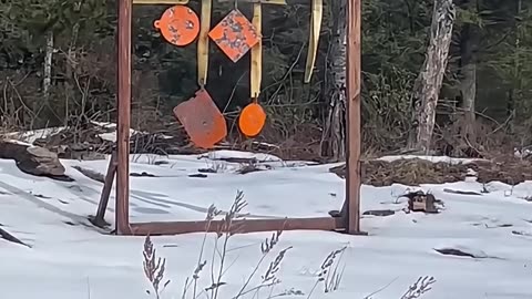 Ruger Mini 30 #国外合法拍摄国内请勿模仿 #武器科普 #实弹射击 #男人减速带 #靶场射击