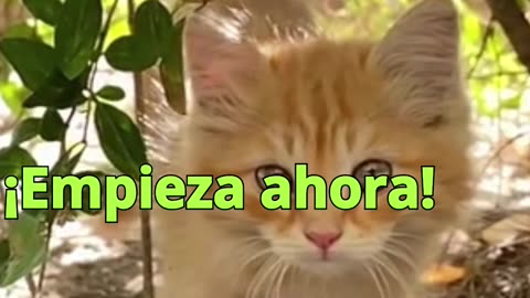😊 170 NO ATRAES LO QUE QUIERES, ATRAES LO QUE ERES 😊