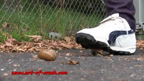 Sneakers & Snails