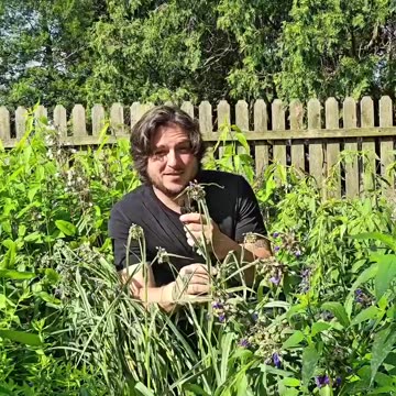 She's beauty. She's grace. She'll detect ionizing rays.