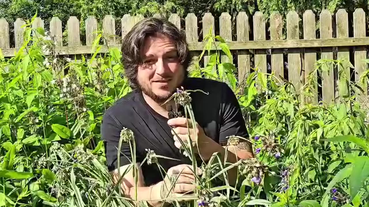 She's beauty. She's grace. She'll detect ionizing rays.