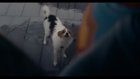 Superman Movie Clip 2025