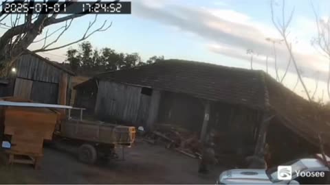 Agricultor morto pelo IBAMA no interior de Santa Maria por policiais em fiscalização do IBAMA.