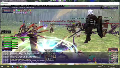 Playing Final Fantasy XI Online