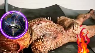 REPTILIANS, DEBIDO A LO ELEVADI DE LAS FREQUENCIAS, THE CAUSE OF HIGH FREQUENCIES.