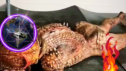REPTILIANS, DEBIDO A LO ELEVADI DE LAS FREQUENCIAS, THE CAUSE OF HIGH FREQUENCIES.